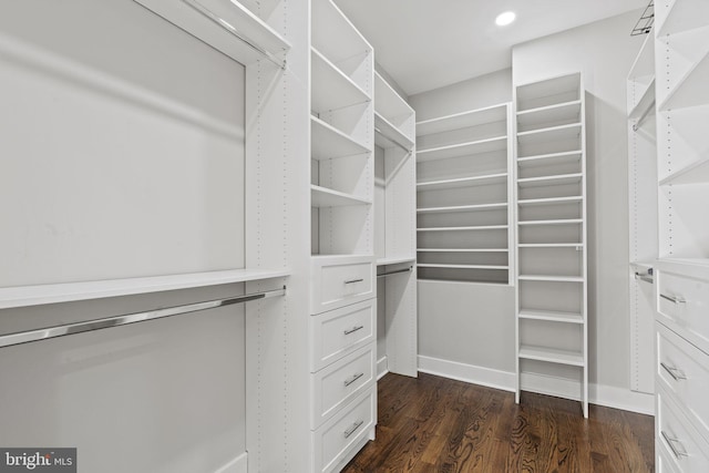 walk in closet featuring dark hardwood / wood-style floors