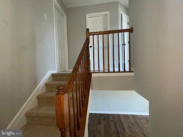 stairway with wood-type flooring