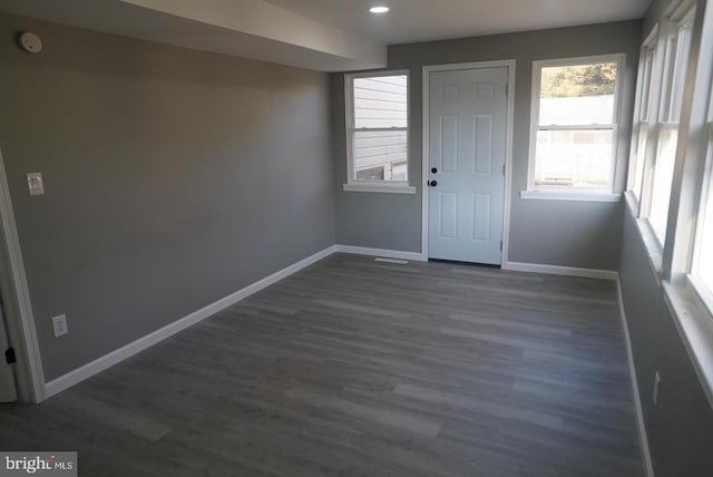 interior space with dark hardwood / wood-style flooring and a wealth of natural light