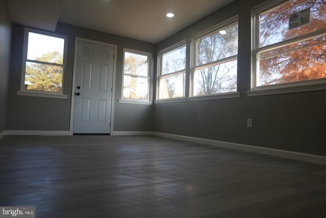 entryway with dark wood-type flooring and a healthy amount of sunlight