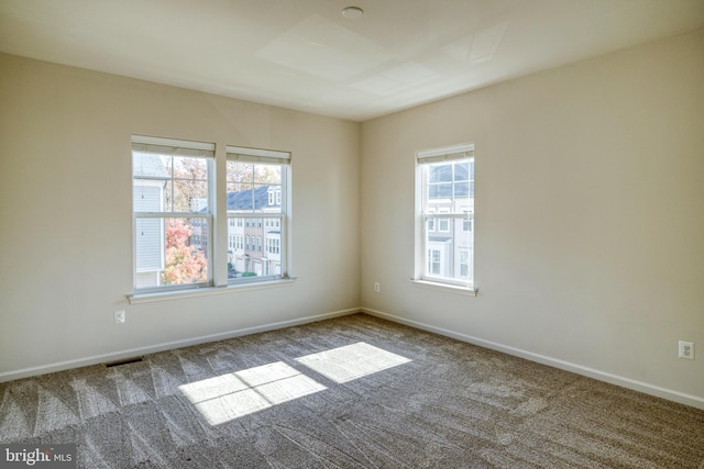 spare room with carpet and a wealth of natural light