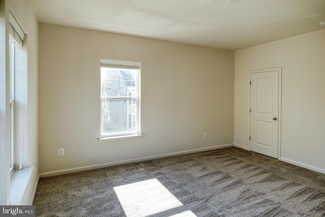 spare room with carpet flooring