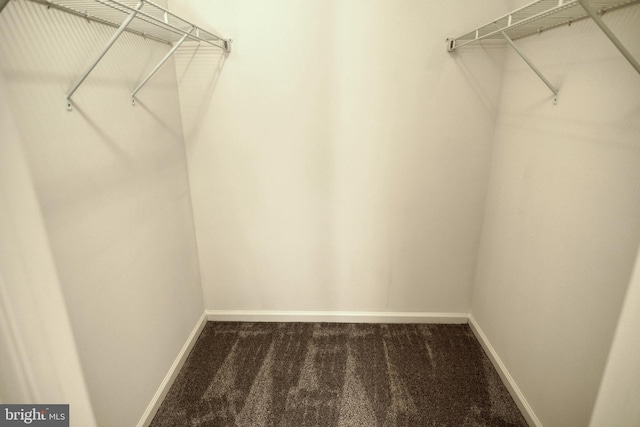 spacious closet featuring dark carpet