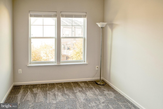 carpeted empty room with a healthy amount of sunlight