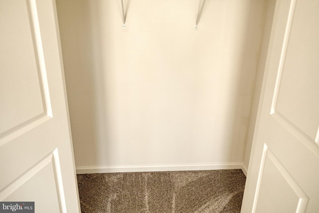 spacious closet featuring carpet floors