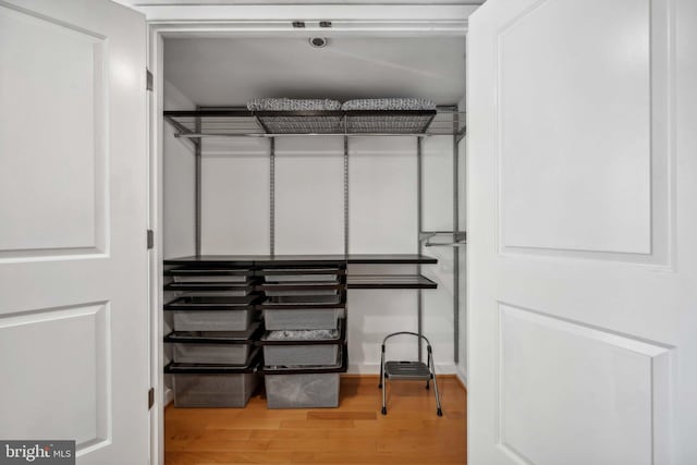 spacious closet featuring hardwood / wood-style flooring