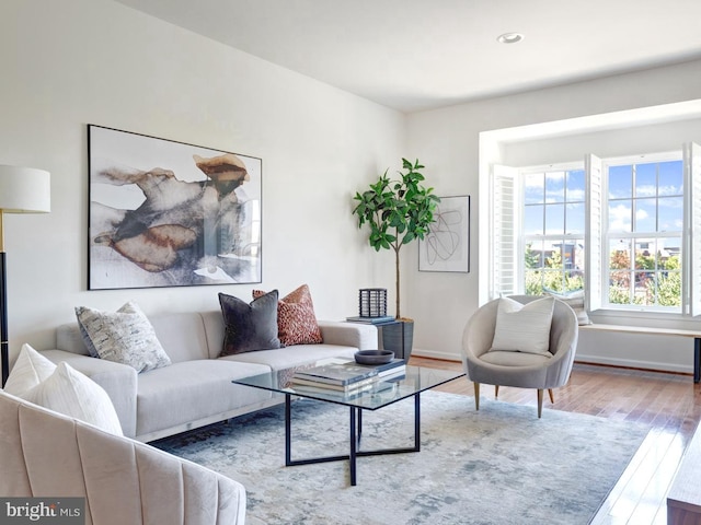 living room with wood-type flooring