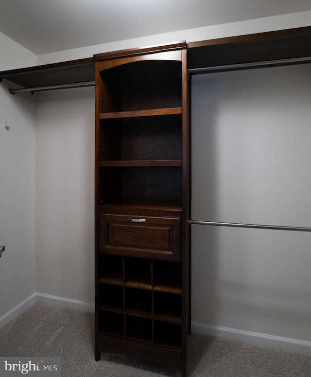 spacious closet featuring light carpet