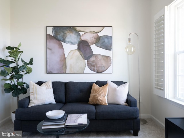 living room featuring carpet floors