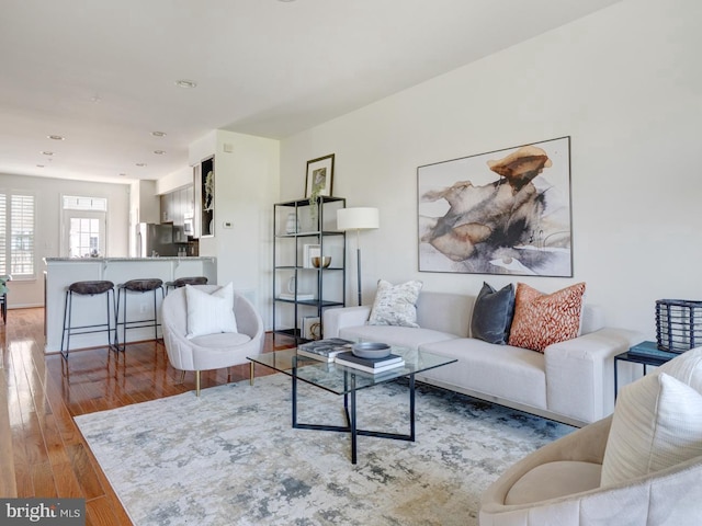 living room with hardwood / wood-style flooring