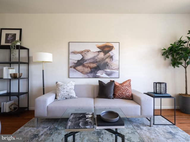 living room featuring hardwood / wood-style floors