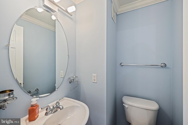 bathroom featuring toilet, sink, and ornamental molding