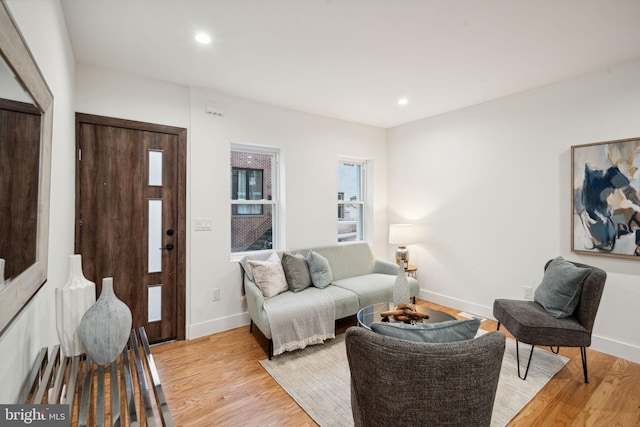 living room featuring light wood-type flooring