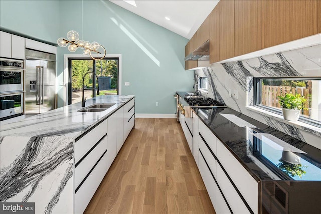 261 Moore St, Princeton, NJ 08540 - kitchen with a sink, light wood-style flooring, range hood, modern cabinets, and appliances with stainless steel finishes