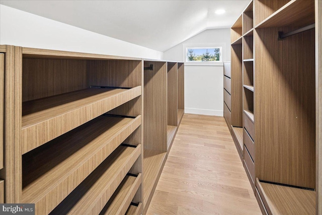 261 Moore St, Princeton, NJ 08540 - spacious closet featuring light wood-style flooring and vaulted ceiling