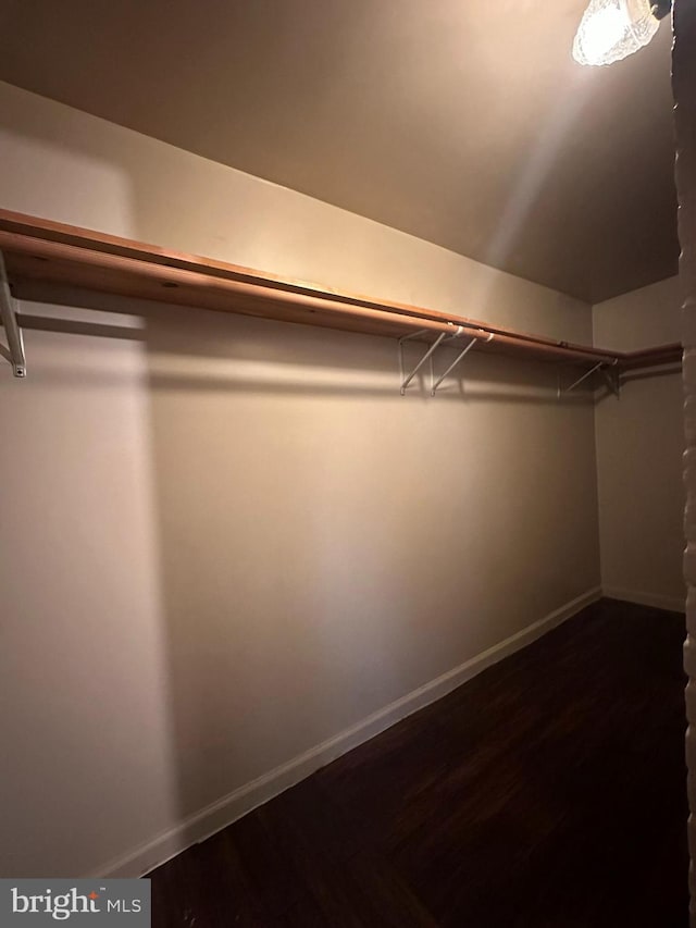 walk in closet featuring wood-type flooring