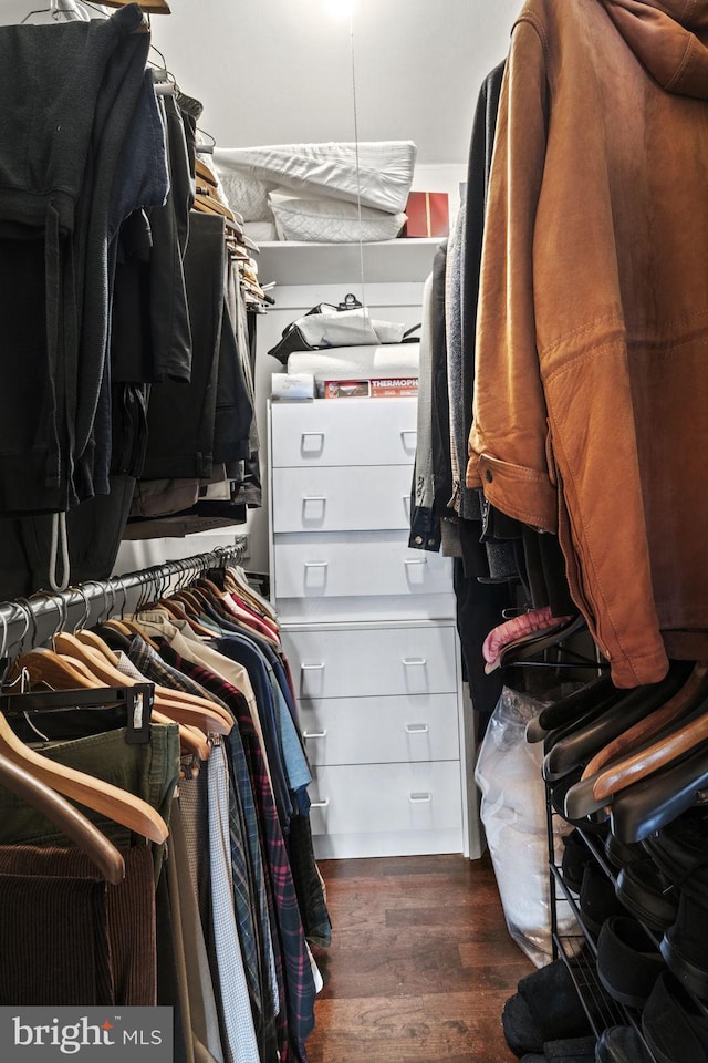 walk in closet featuring dark hardwood / wood-style flooring