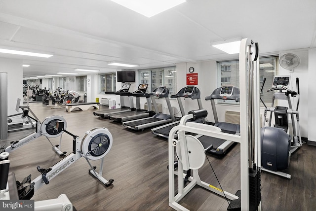 exercise room with dark hardwood / wood-style flooring