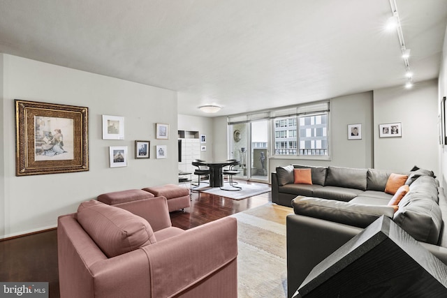 living room with rail lighting and light hardwood / wood-style flooring