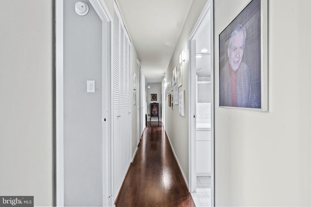 hallway with dark wood-type flooring