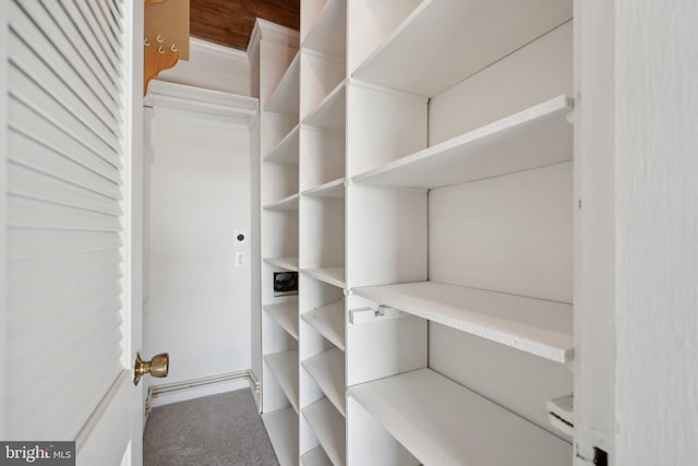 walk in closet with carpet flooring