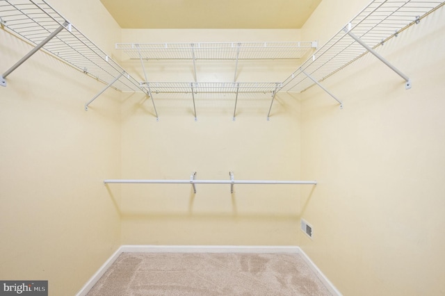 spacious closet featuring carpet floors