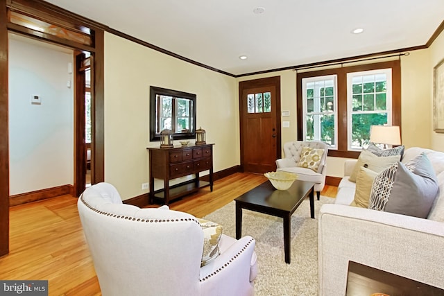 living room with light hardwood / wood-style floors, ornamental molding, and a healthy amount of sunlight