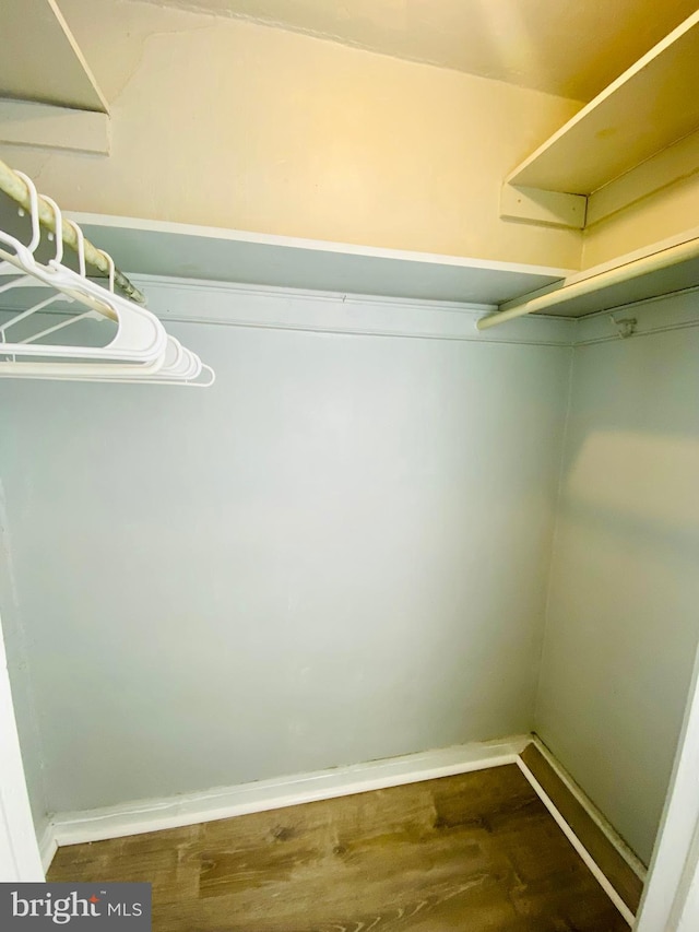 spacious closet featuring dark hardwood / wood-style floors