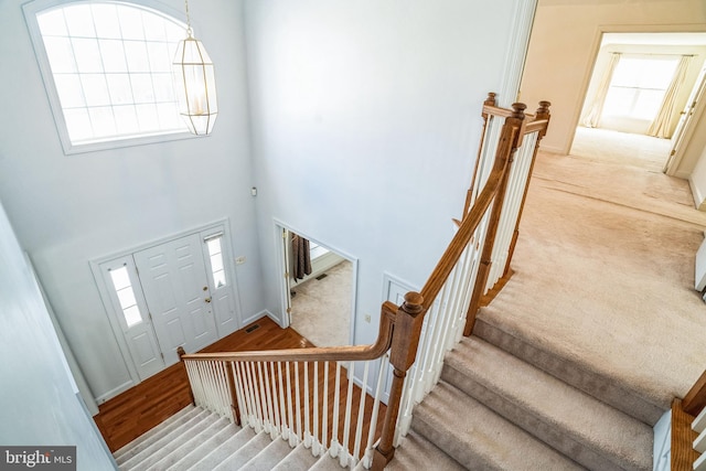 carpeted entryway with a healthy amount of sunlight