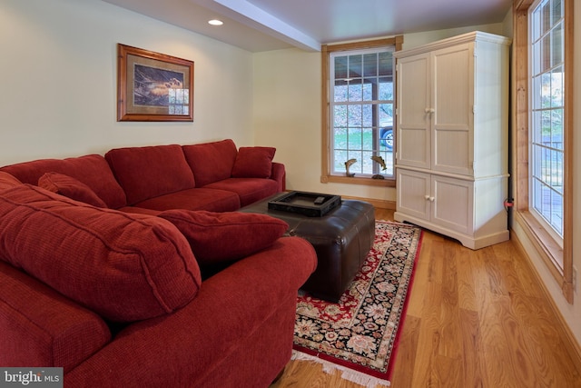 living room featuring light hardwood / wood-style floors and plenty of natural light