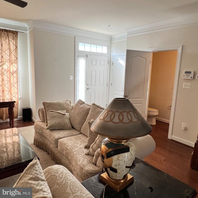 living room featuring dark hardwood / wood-style floors and ornamental molding