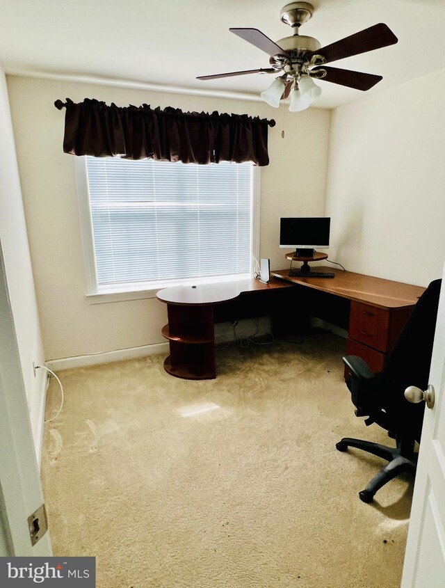 unfurnished office featuring ceiling fan and light colored carpet