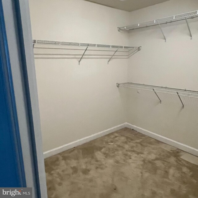 spacious closet with carpet