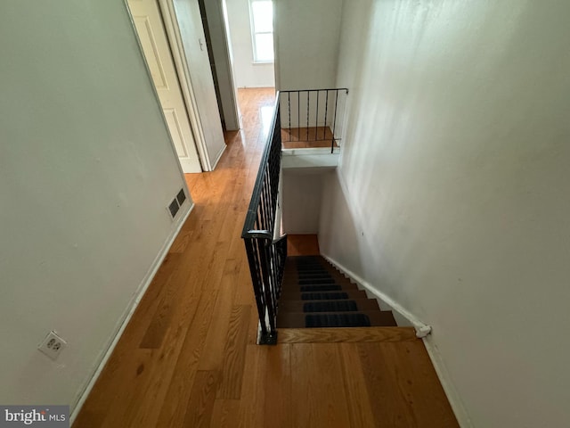 stairway with wood-type flooring