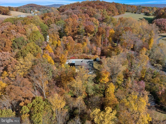 aerial view with a mountain view