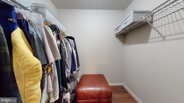 walk in closet with hardwood / wood-style flooring