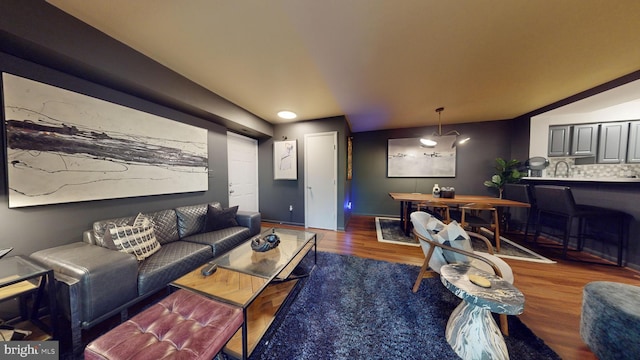 living room featuring dark hardwood / wood-style flooring