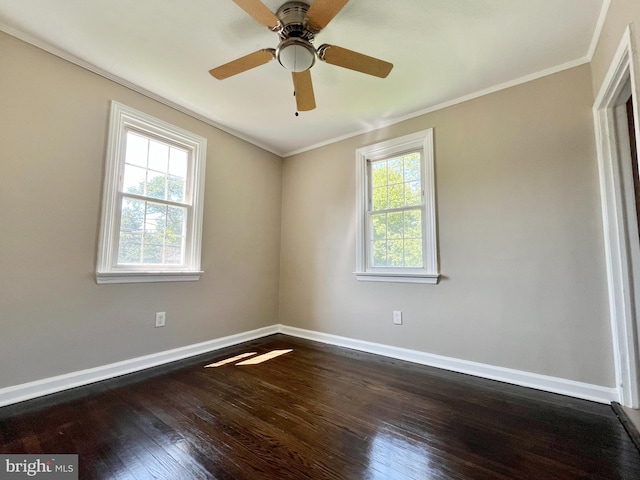 spare room with dark wood-type flooring, crown molding, and ceiling fan