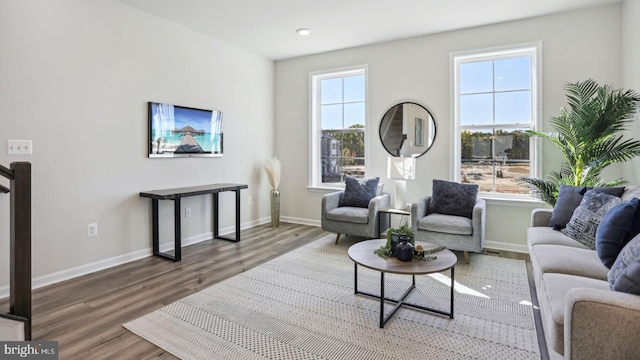 living room featuring hardwood / wood-style floors