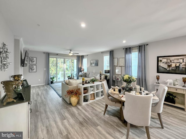 dining area with plenty of natural light, light hardwood / wood-style floors, and ceiling fan