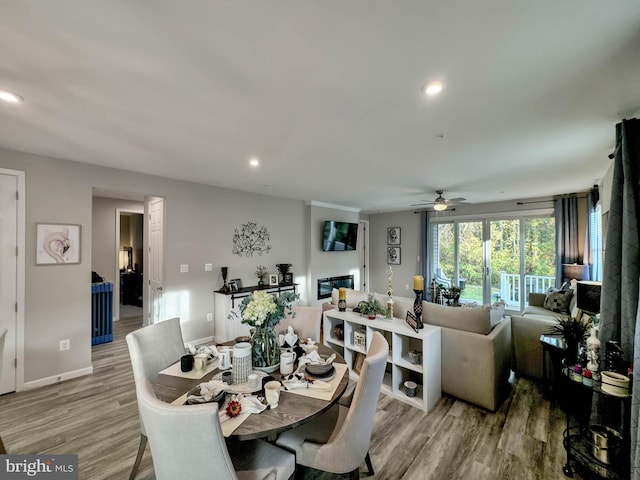 dining space with ceiling fan and light wood-type flooring