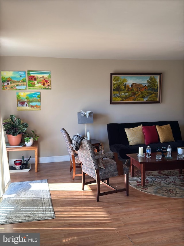 living room featuring hardwood / wood-style flooring