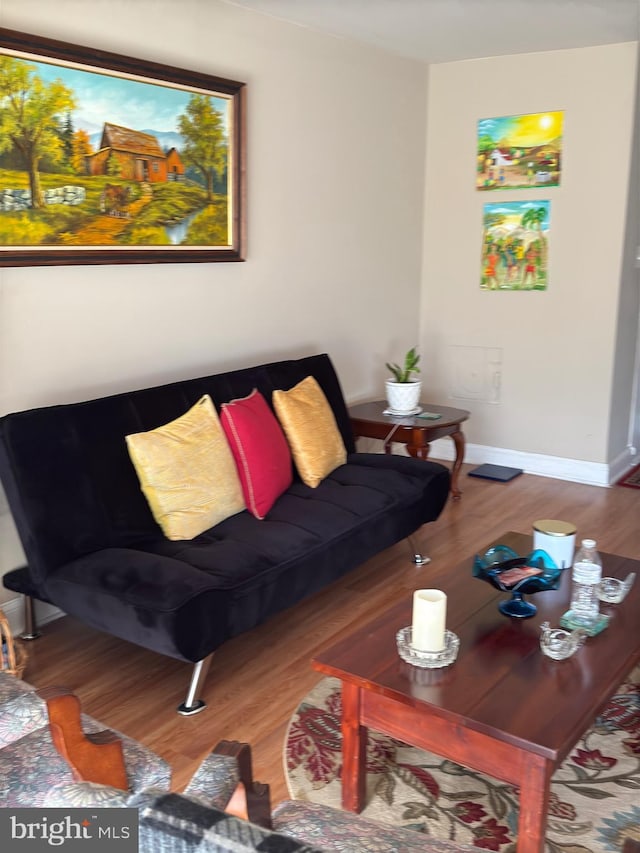 living room featuring hardwood / wood-style floors