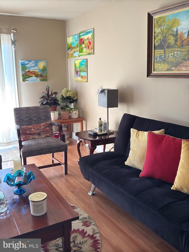 living room with wood-type flooring