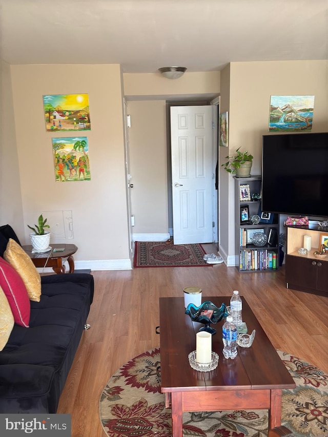 living room featuring light hardwood / wood-style flooring