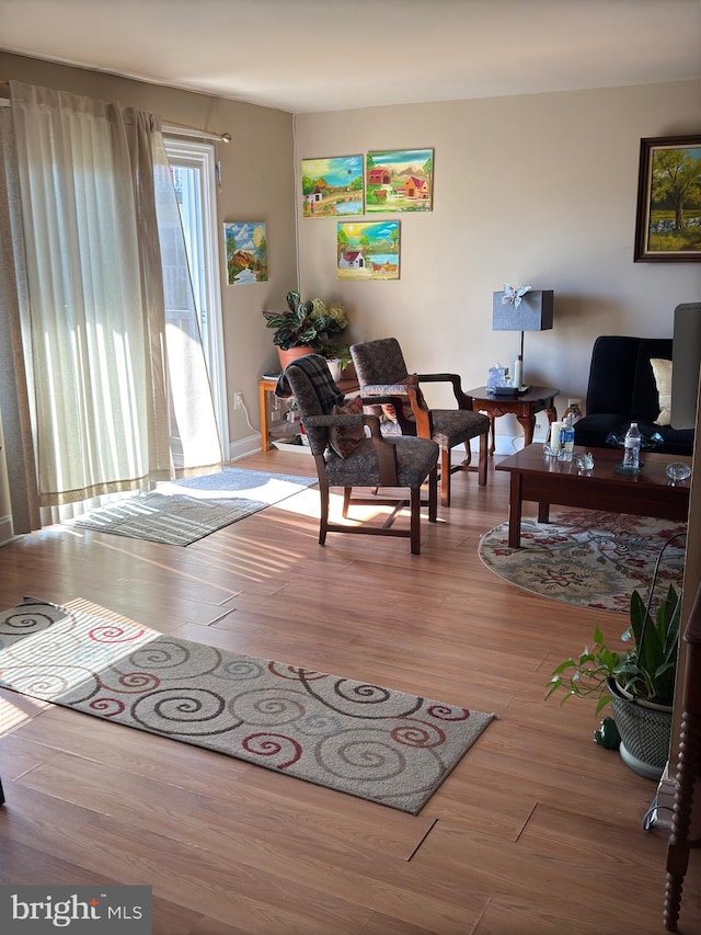 living room with light hardwood / wood-style flooring