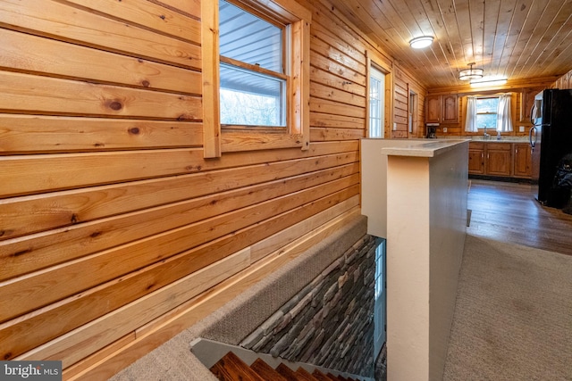 view of sauna / steam room featuring carpet floors, wood walls, and wood ceiling