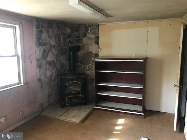 basement featuring a wood stove and plenty of natural light