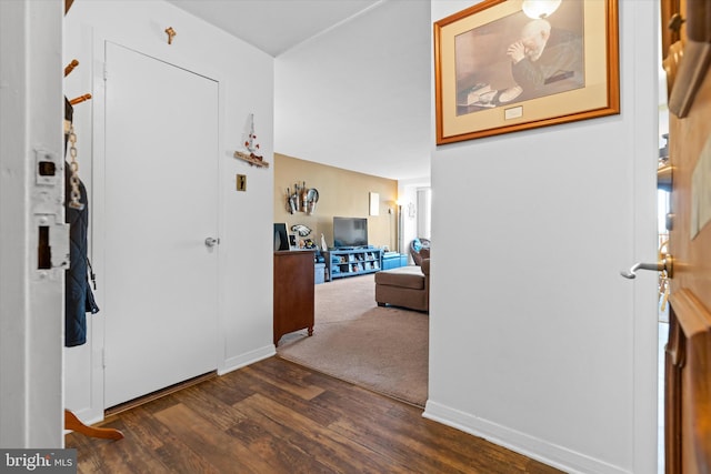 entrance foyer with dark wood-type flooring