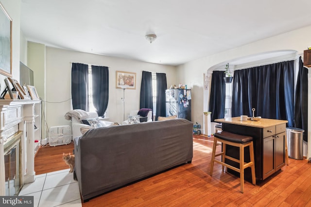 living room with light hardwood / wood-style floors